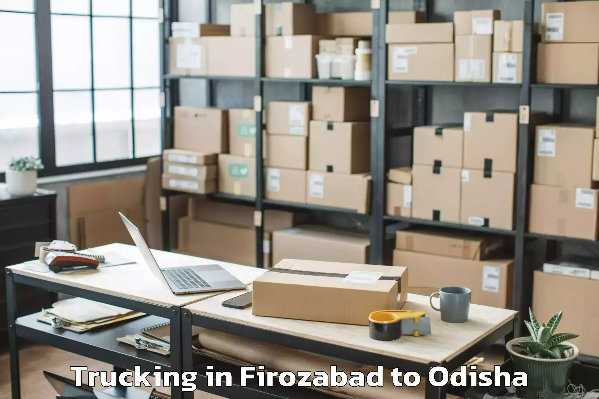 Book Firozabad to Karanjia Trucking